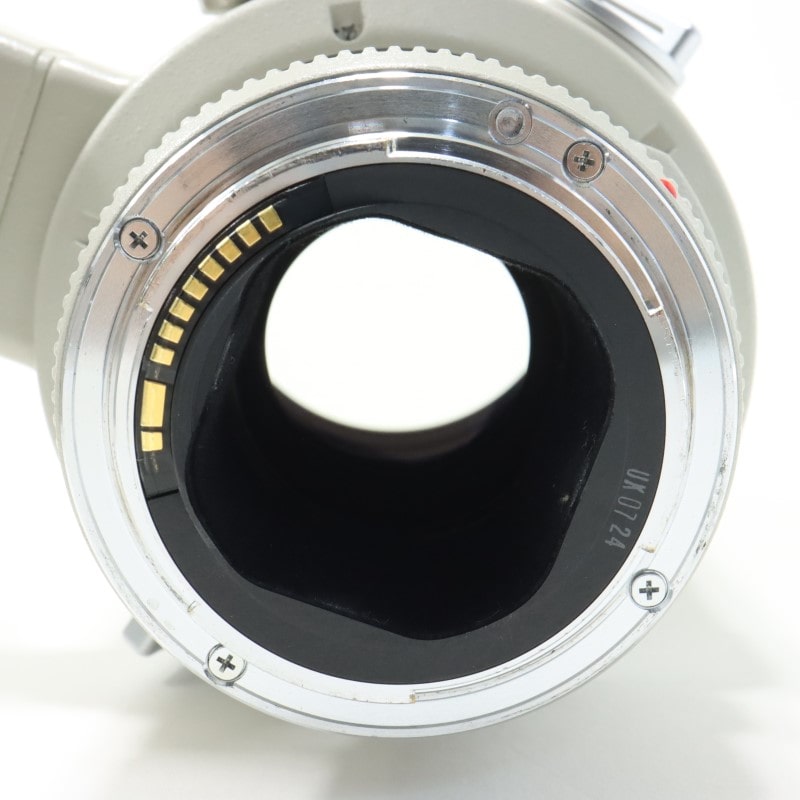 EF 300mm F2.8 L USM III