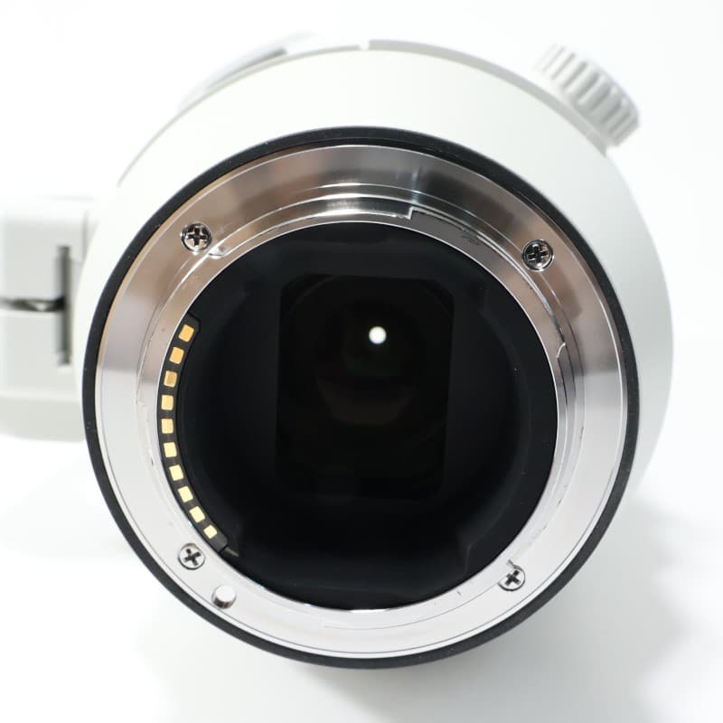 FE 200-600mm F5.6-6.3 G OSS SEL200600G
