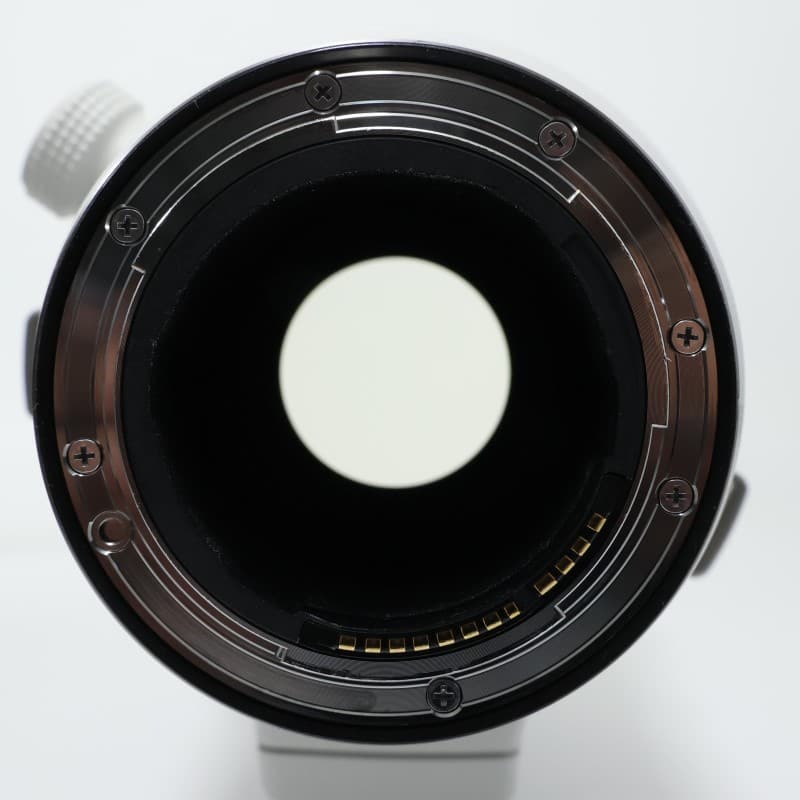 RF100-300mm F2.8 L IS USM