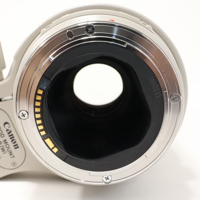 EF 300mm F4 L IS USM