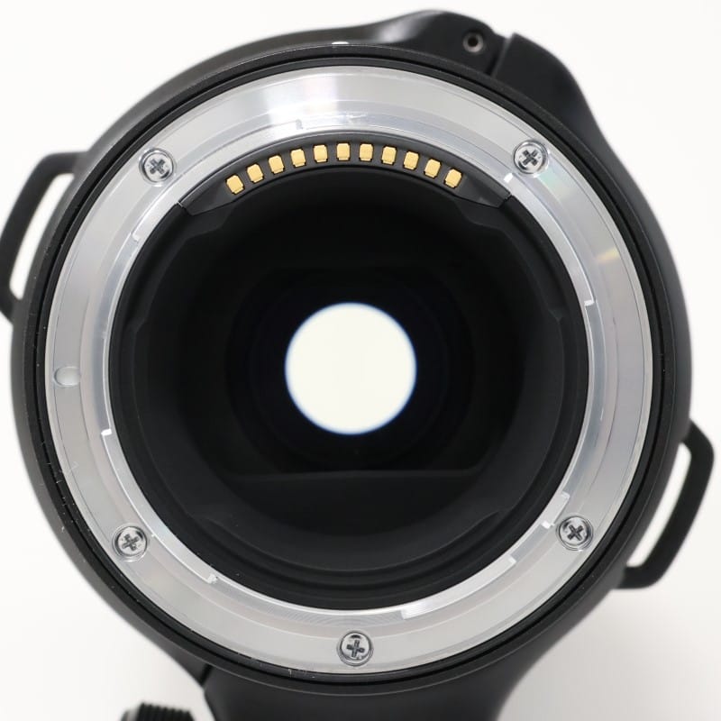 NIKKOR Z 180-600mm f/5.6-6.3 VR