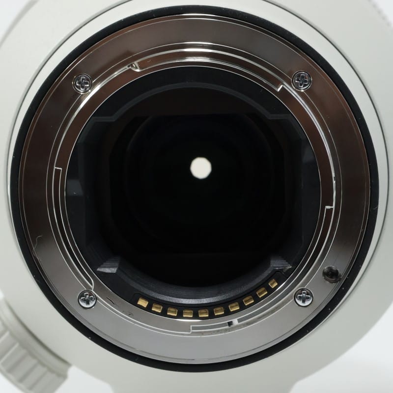 FE 100-400mm F4.5-5.6 GM OSS SEL100400GM