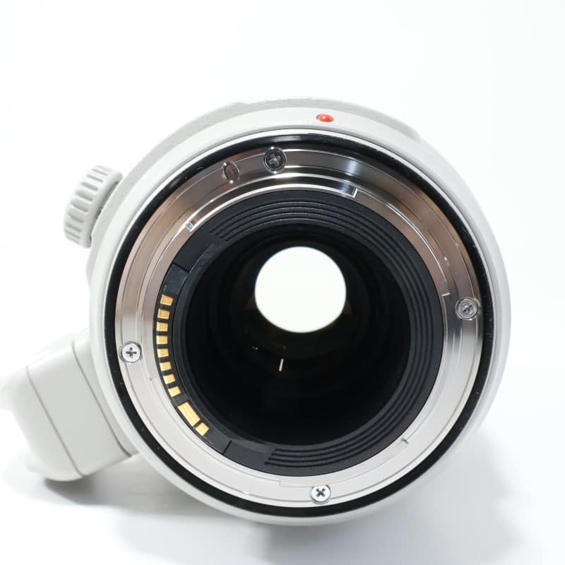 EF100-400mm F4.5-5.6L IS II USM
