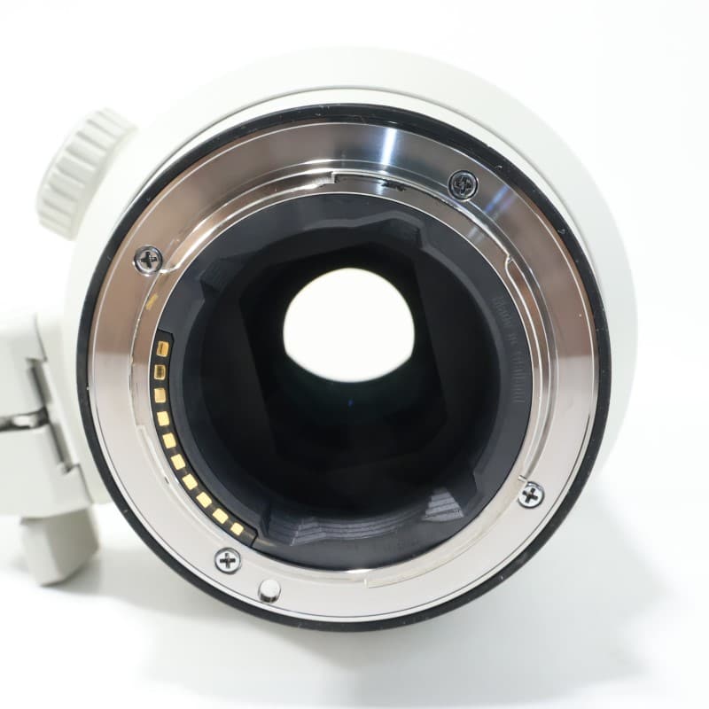 FE 70-200mm F2.8 GM OSS SEL70200GM