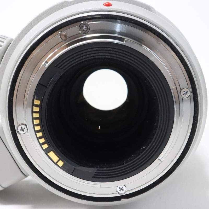 EF 100-400mm F4.5-5.6L IS II USM