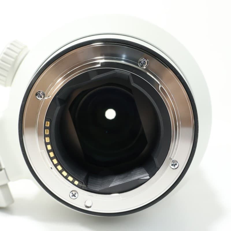 FE 100-400mm F4.5-5.6 GM OSS SEL100400GM