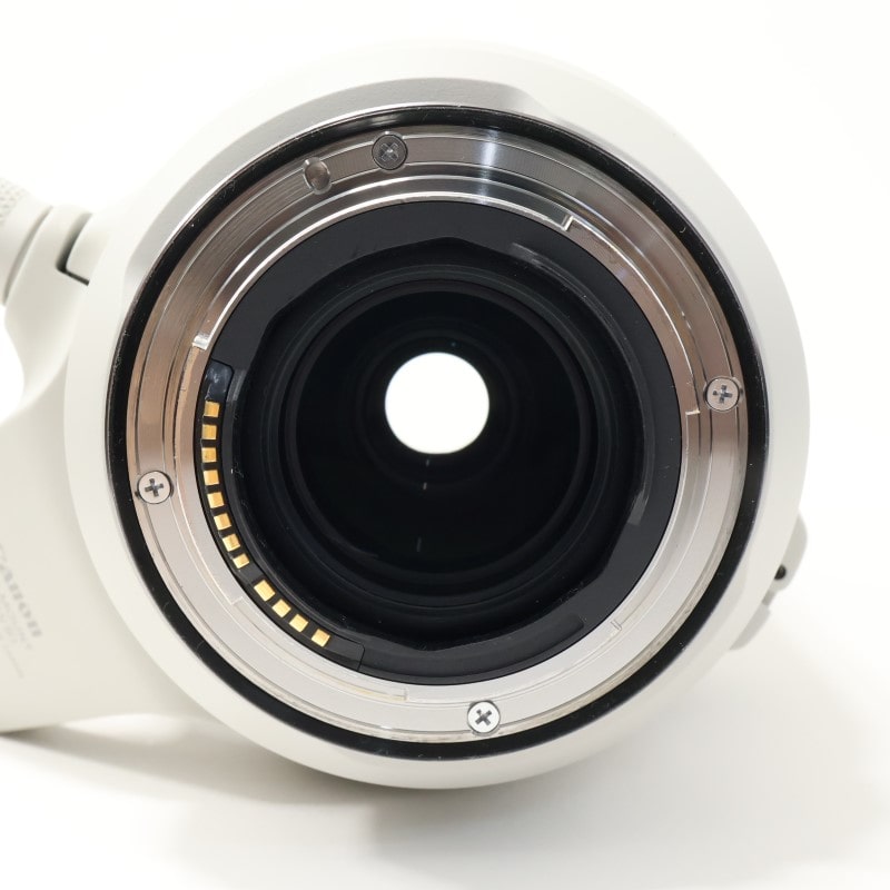 RF100-500mm F4.5-7.1 L IS USM
