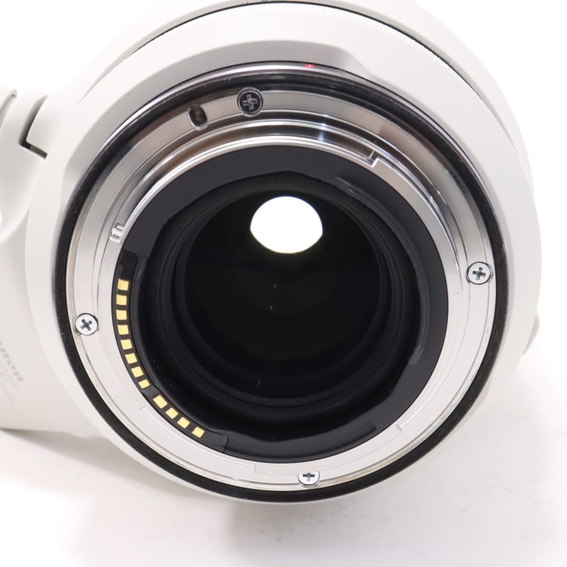 RF100-500mm F4.5-7.1 L IS USM