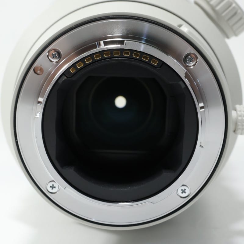 FE 300mm F2.8 GM OSS SEL300F28GM