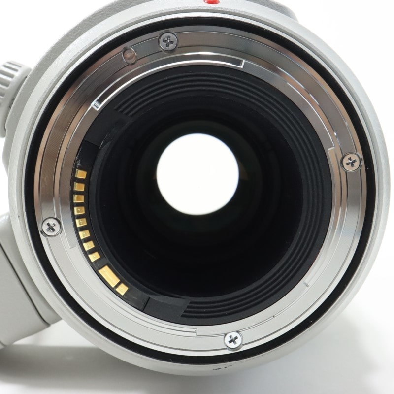 EF 100-400mm F4.5-5.6L IS II USM