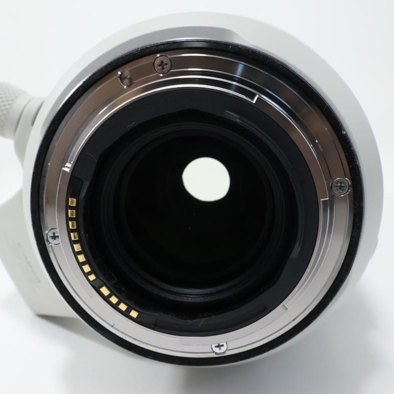 RF100-500mm F4.5-7.1 L IS USM