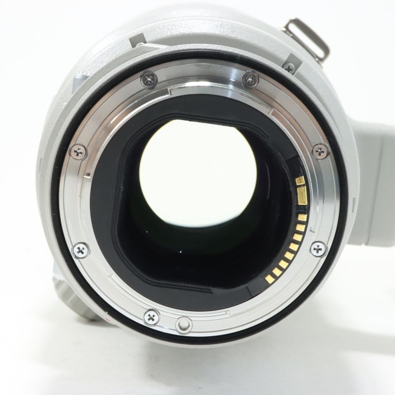 EF 400mm F2.8 L IS II USM