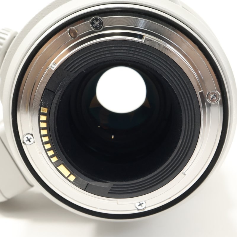 EF100-400mm F4.5-5.6L IS II USM