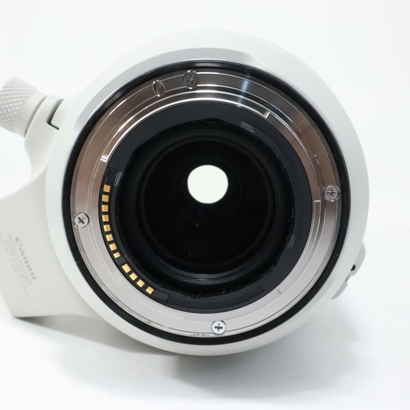 RF100-500mm F4.5-7.1 L IS USM
