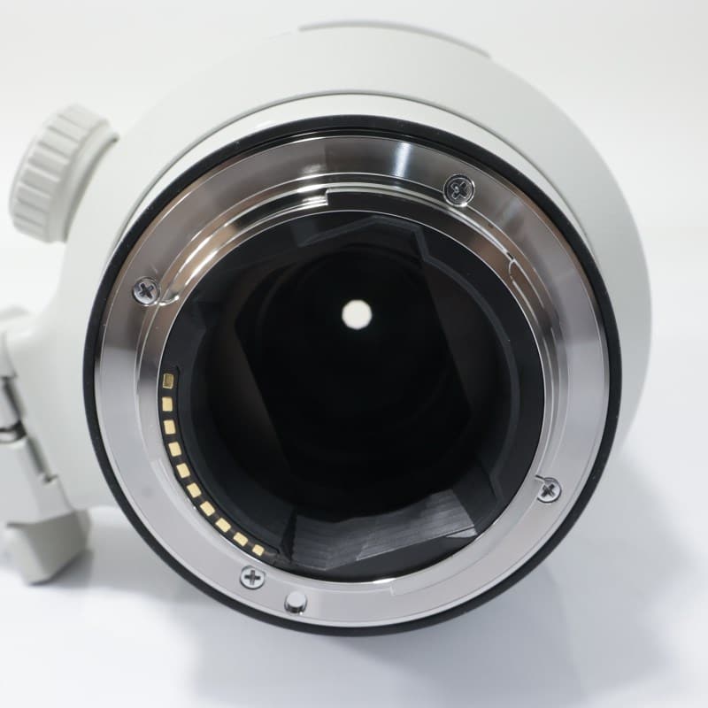 FE 100-400mm F4.5-5.6 GM OSS SEL100400GM