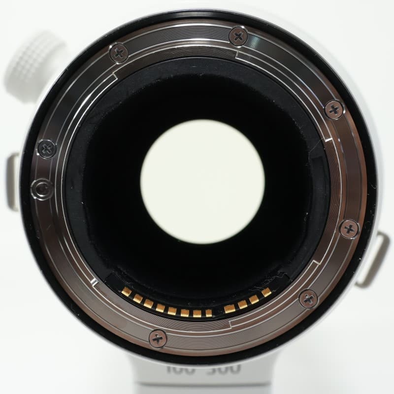 RF100-300mm F2.8 L IS USM