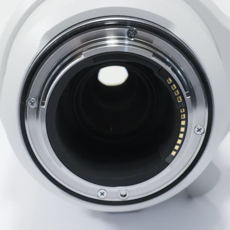 RF200-800mm F6.3-9 IS USM