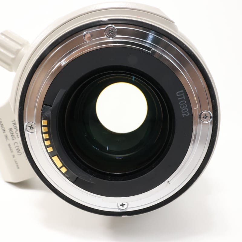 EF 28-300mm F3.5-5.6 L IS USM