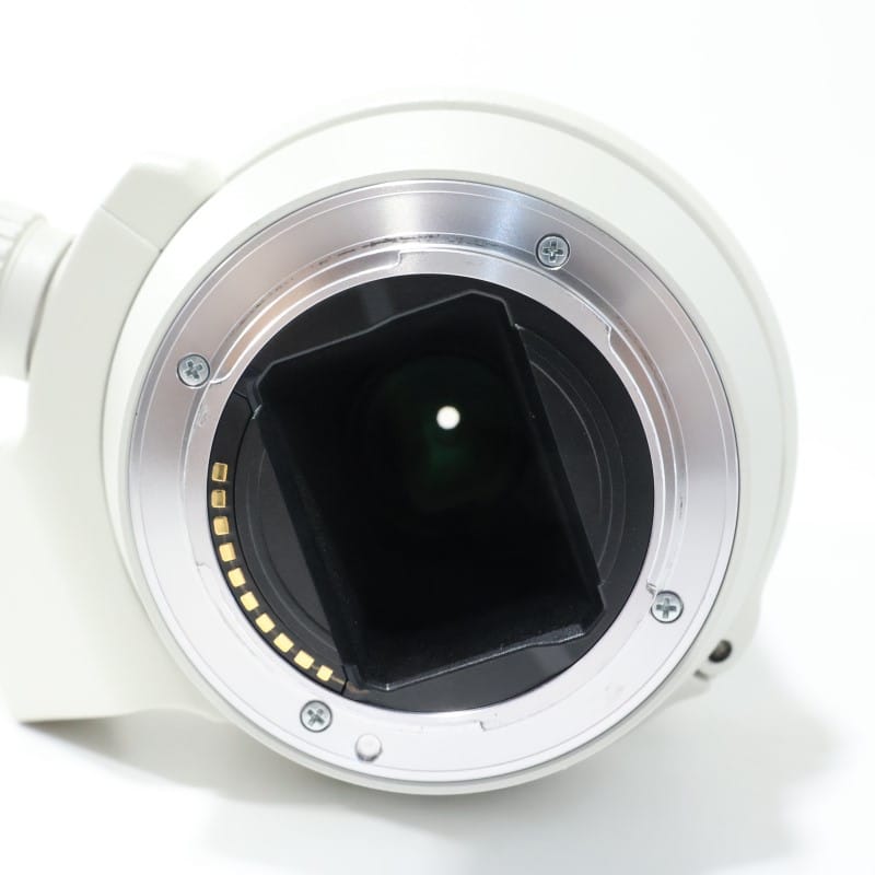 FE 70-200mm F4 G OSS SEL70200G