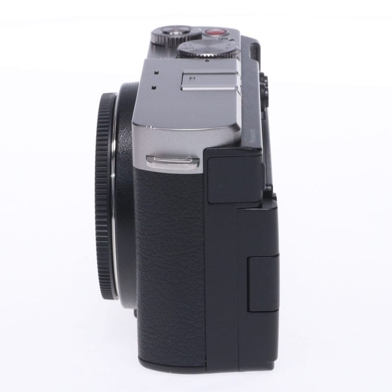 LUMIX S9 ボディ シルバー DC-S9-S