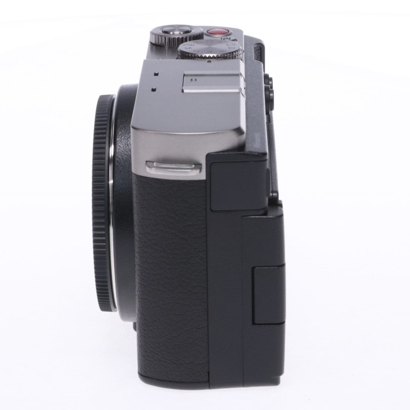 LUMIX S9 ボディ シルバー DC-S9-S