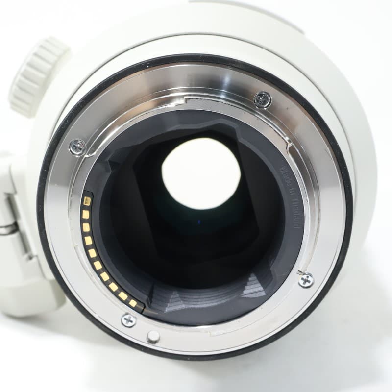 FE 70-200mm F2.8 GM OSS SEL70200GM