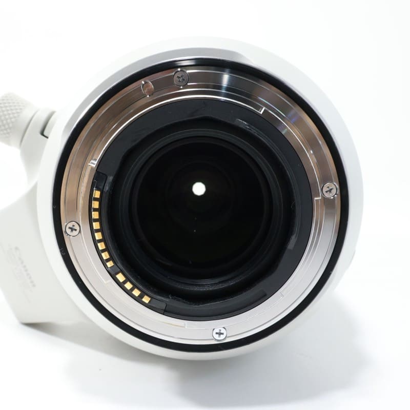 RF100-500mm F4.5-7.1 L IS USM