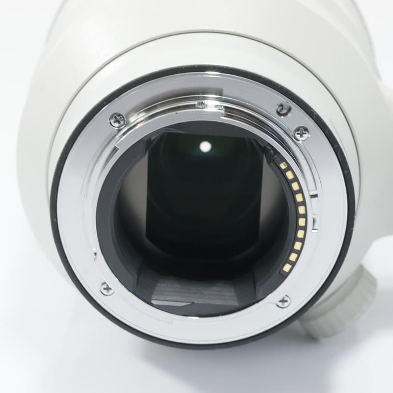 FE 100-400mm F4.5-5.6 GM OSS SEL100400GM