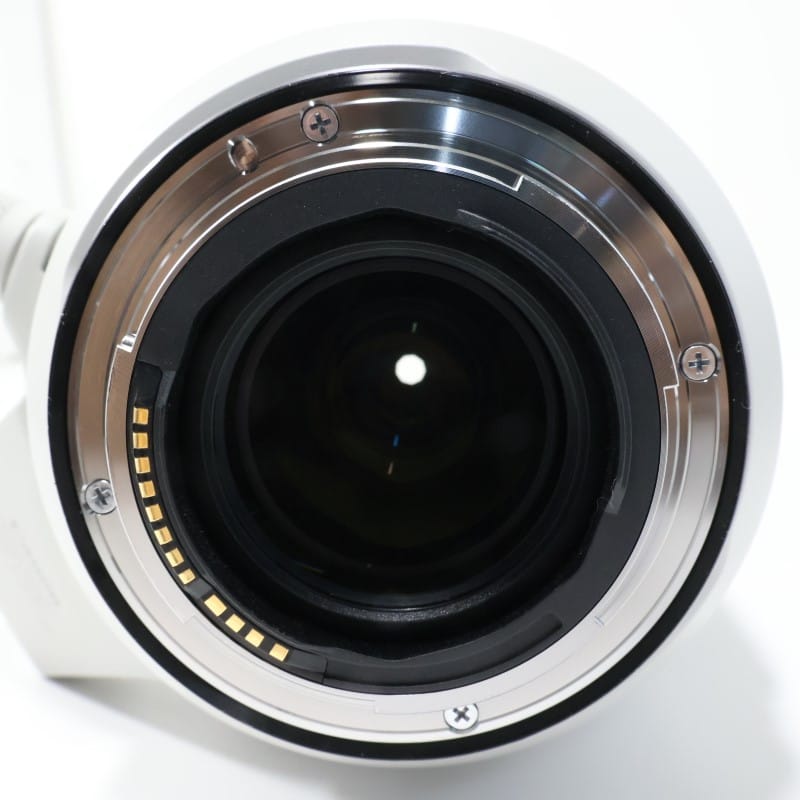 RF100-500mm F4.5-7.1 L IS USM