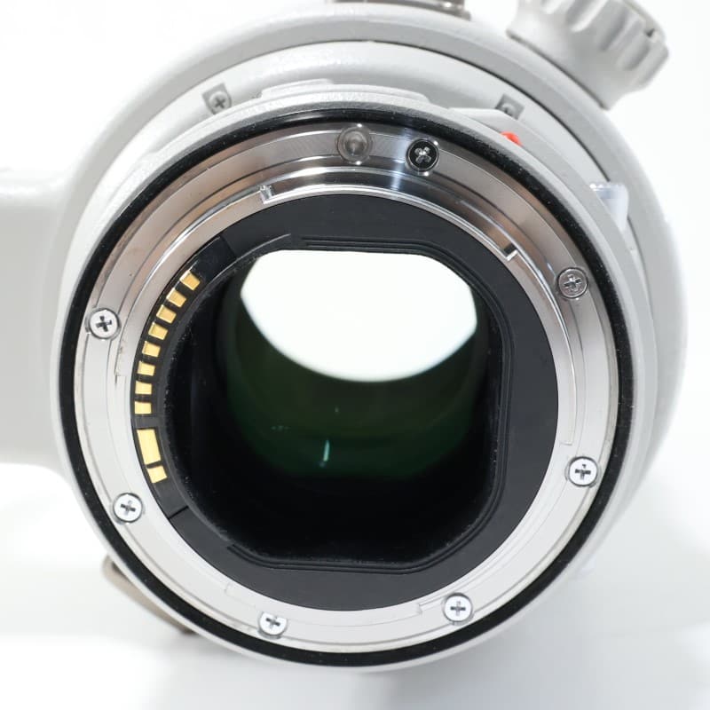 EF 300mm F2.8 L IS II USM