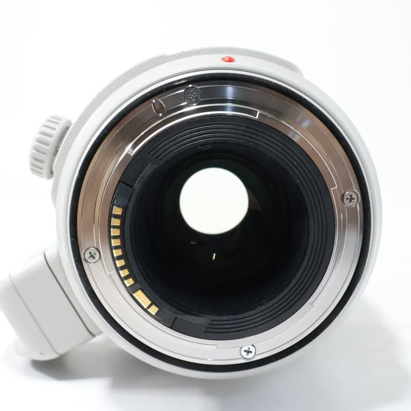 EF100-400mm F4.5-5.6L IS II USM