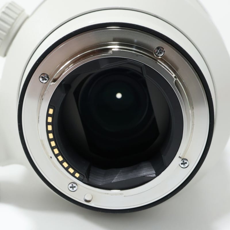 FE 100-400mm F4.5-5.6 GM OSS SEL100400GM