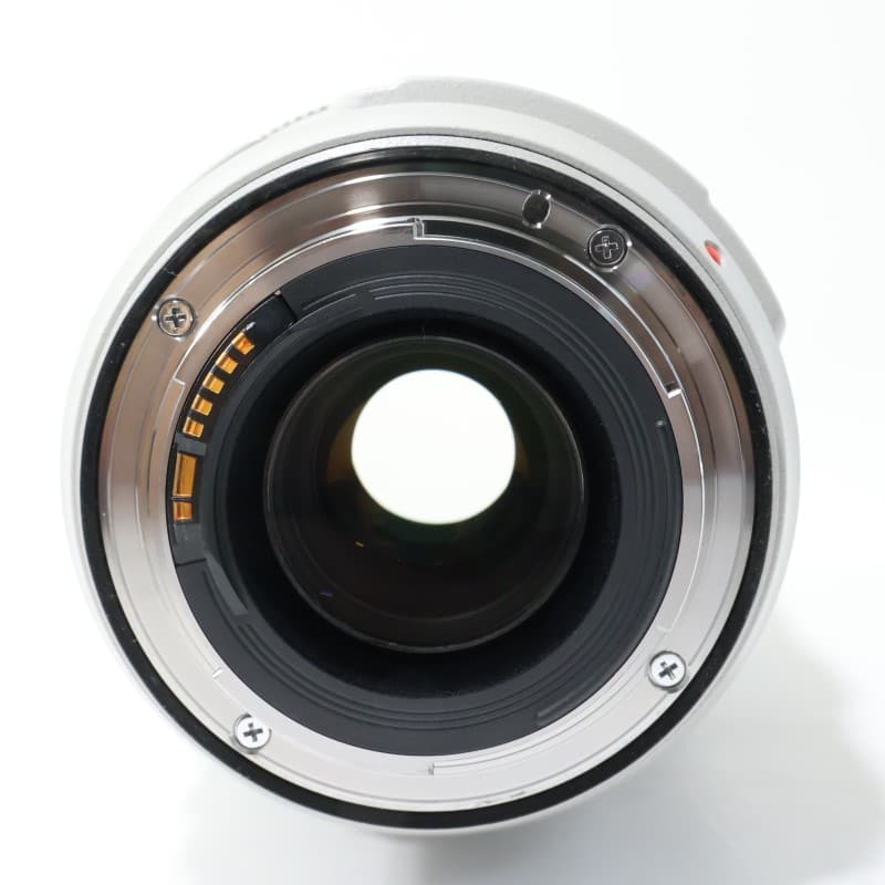 EF 70-300mm F4-5.6 L IS USM