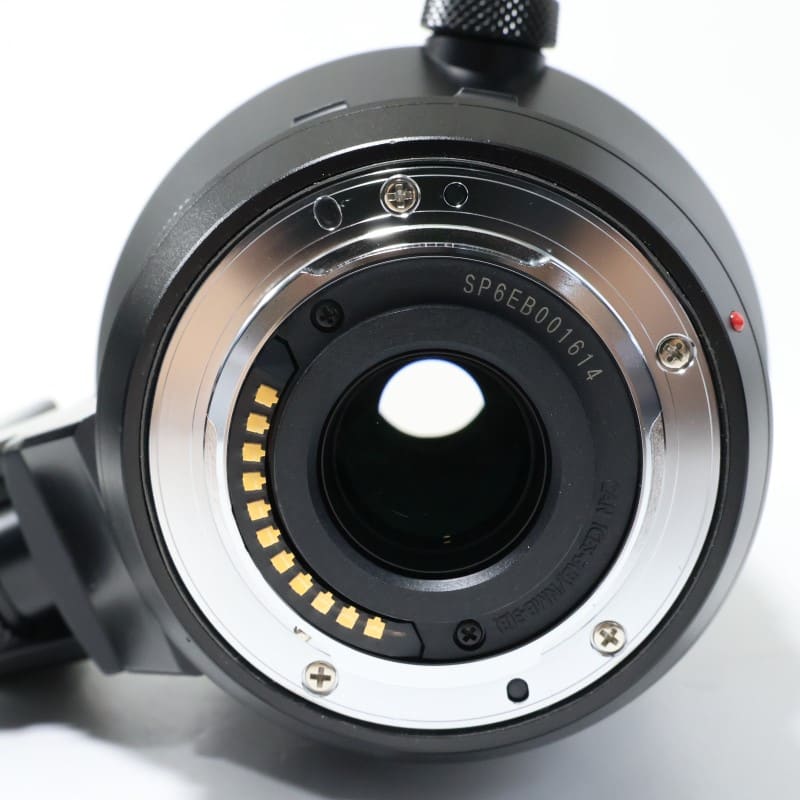 LEICA DG VARIO-ELMAR 100-400mm / F4.0-6.3 ASPH. / POWER O.I.S.