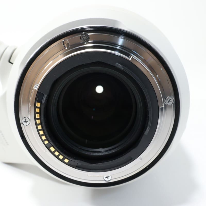 RF100-500mm F4.5-7.1 L IS USM