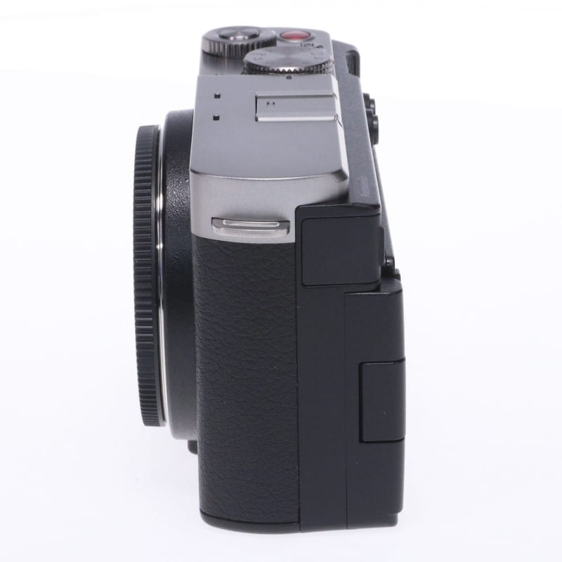 LUMIX S9 ボディ シルバー DC-S9-S