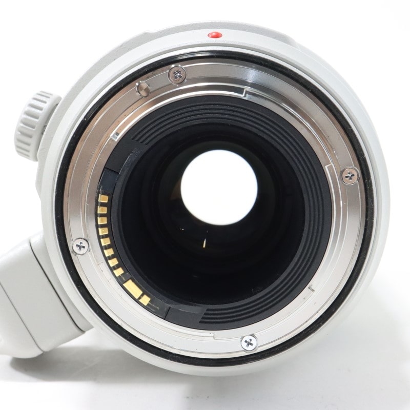 EF100-400mm F4.5-5.6L IS II USM