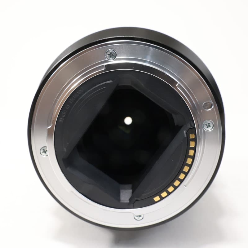 FE 90mm F2.8 Macro G OSS SEL90M28G
