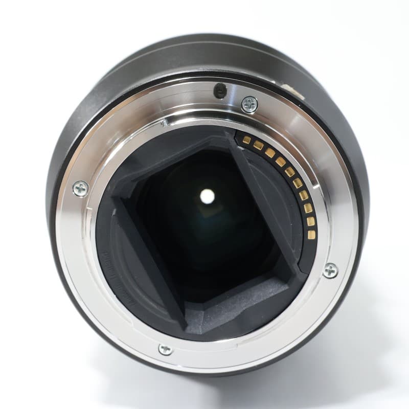 FE 90mm F2.8 Macro G OSS SEL90M28G