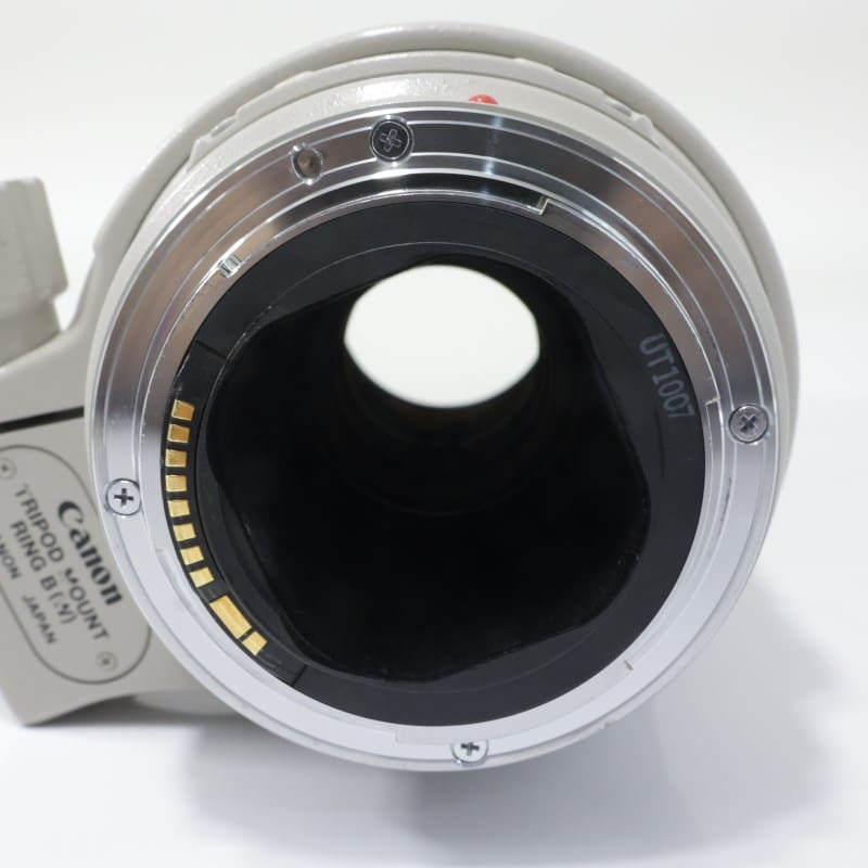 EF300mm F4L IS USM
