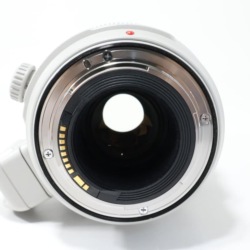 EF100-400mm F4.5-5.6L IS II USM