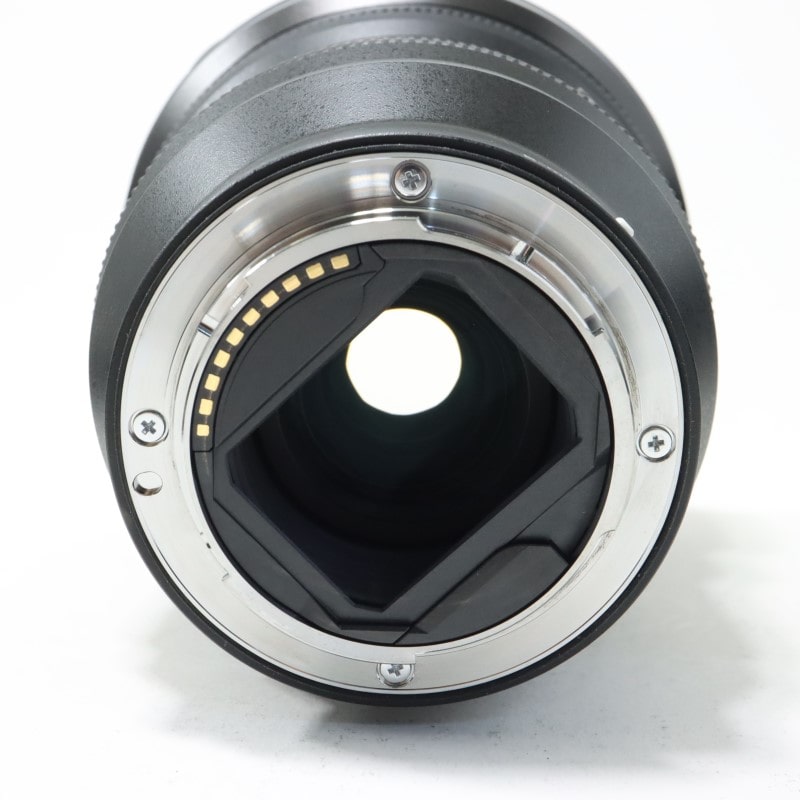 FE 12-24mm F2.8 GM SEL1224GM