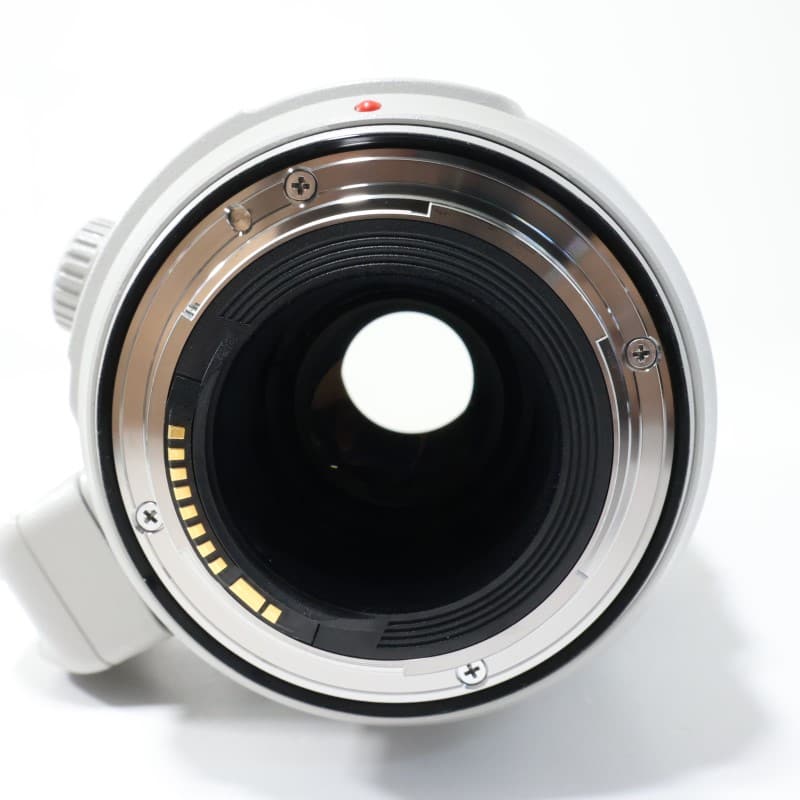 EF100-400mm F4.5-5.6L IS II USM