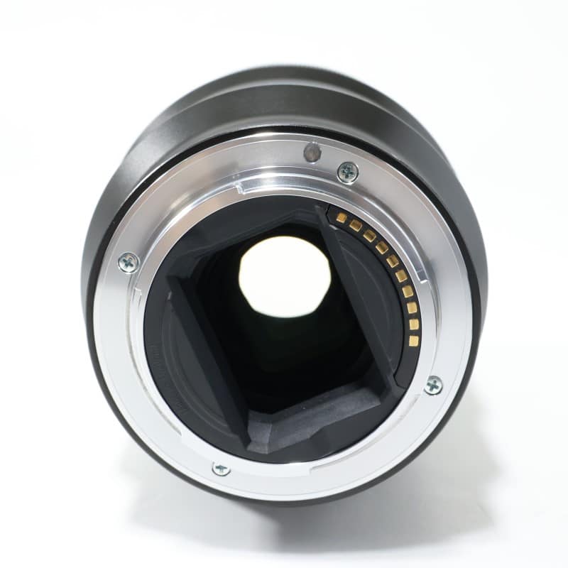 FE 90mm F2.8 Macro G OSS SEL90M28G