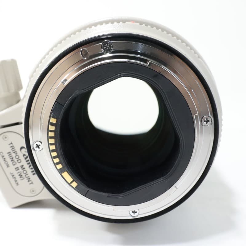 EF 70-200mm F2.8 L IS II USM