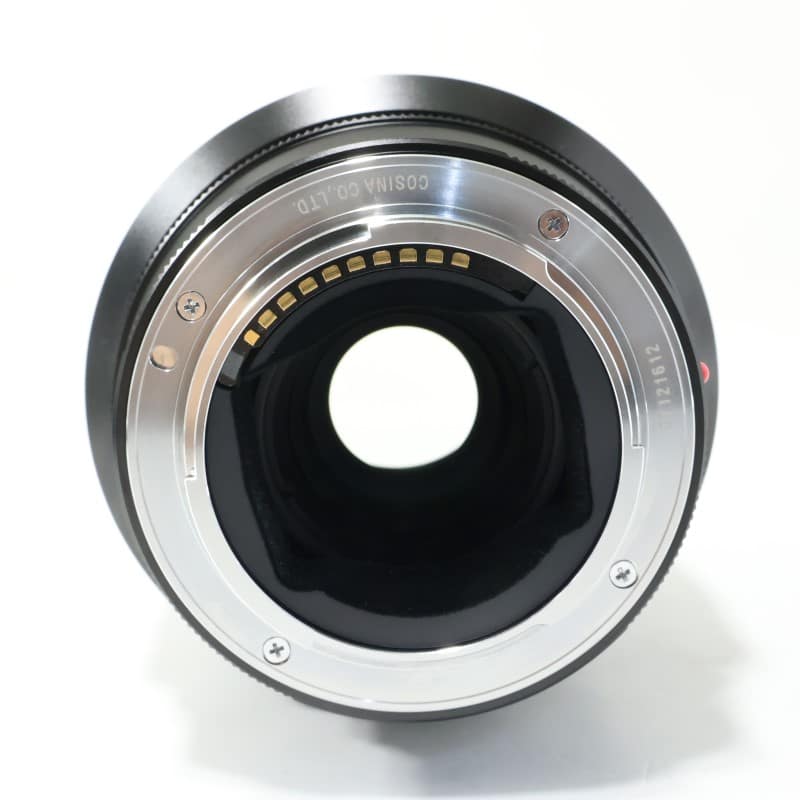 MACRO APO-LANTHAR 110mm F2.5 E-mount