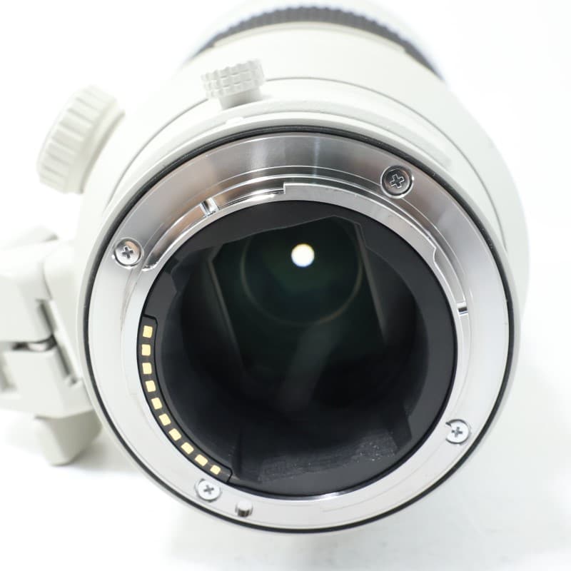 FE 300mm F2.8 GM OSS SEL300F28GM