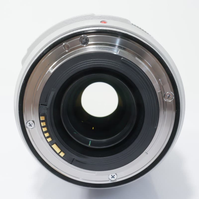 EF 70-300mm F4-5.6 L IS USM