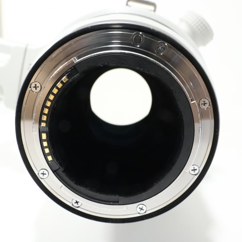 RF100-300mm F2.8 L IS USM
