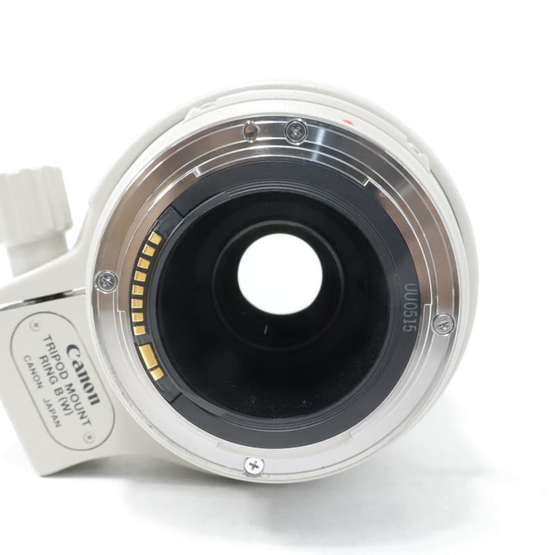 EF 100-400mm F4.5-5.6 L IS USM